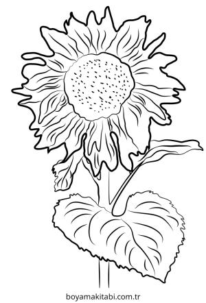 Ayçiçeği boyama sayfası – eğlenceli etkinlik, el becerilerini geliştirir