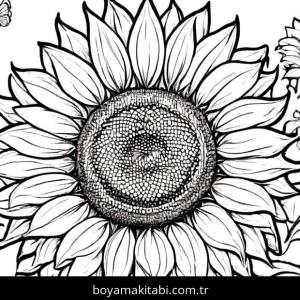 Ayçiçeği boyama sayfası,  coloring page, modern, komik, modern