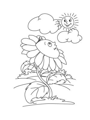 Ayçiçeği boyama sayfası,  coloring page, Güneşin altında güneşlenen ayçiçeği., 