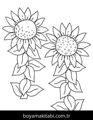 Ayçiçeği boyama sayfası – çocuk aktivitesi, PDF indir