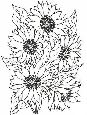 Ayçiçeği boyama sayfası,  coloring page, Bir demet altın çiçek., 