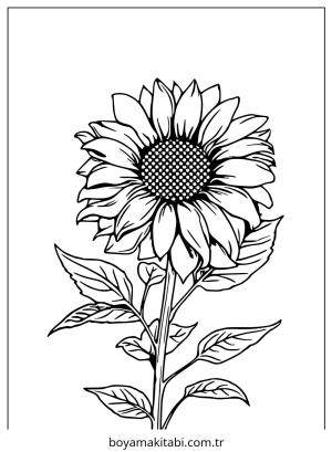 Ayçiçeği boyama sayfası – evde etkinlik, ücretsiz yazdır