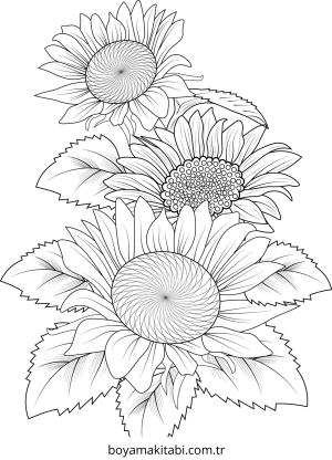 Ayçiçeği boyama sayfası – basit çizim, kolay boyama