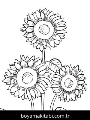 Ayçiçeği Boyama