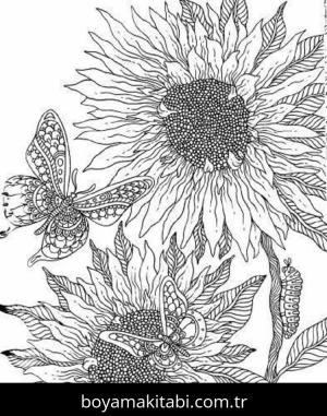 Ayçiçeği boyama sayfası – keyifli zaman, renkli çizimler