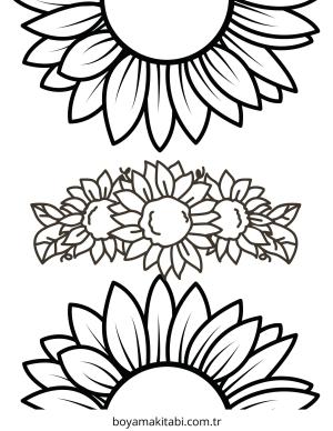 Ayçiçeği boyama sayfası – boyama çalışması, yaratıcılığı geliştirir