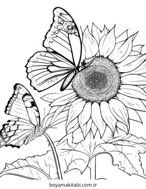 Ayçiçeği boyama sayfası – sanatsal çalışma, çocuklar için