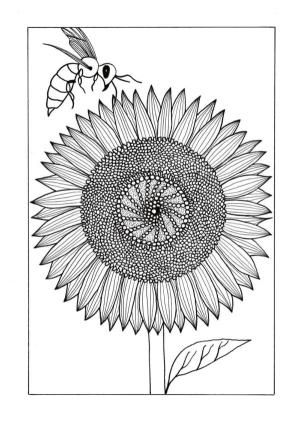 Ayçiçeği boyama sayfası,  coloring page, Şefkatli bir arı bir ayçiçeğini tozlaştırıyor., 