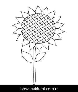 Ayçiçeği boyama sayfası 50320,  coloring page, 
