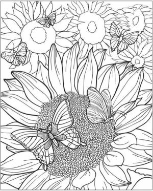 Ayçiçeği boyama sayfası,  coloring page, Kelebekler ayçiçeklerinin üzerinde daireler çiziyor, 