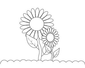 Ayçiçeği boyama sayfası,  coloring page, Sevimli çiçekler güneş ışınlarından mutlu, 