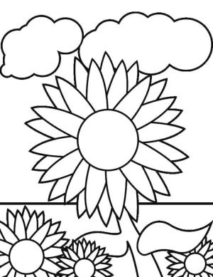 Ayçiçeği boyama sayfası,  coloring page, Ayçiçeği doğrudan güneşi hedefler., 