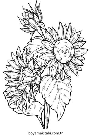 Ayçiçeği boyama sayfası – çocuk aktivitesi, PDF indir
