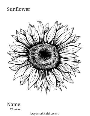 Ayçiçeği boyama sayfası – boyama etkinliği, çocuk aktivitesi