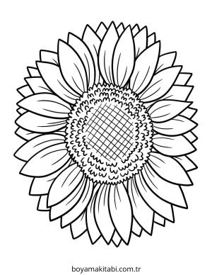 Ayçiçeği boyama sayfası – boyama etkinliği, çocuk aktivitesi