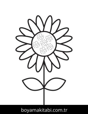 Ayçiçeği Boyama