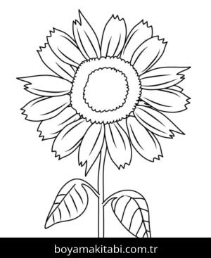 Ayçiçeği boyama sayfası 50330,  coloring page, 