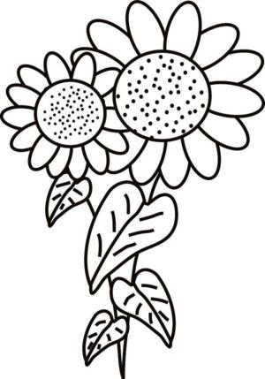 Ayçiçeği boyama sayfası,  coloring page, Yıllık ayçiçeği., 