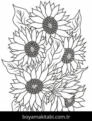 Ayçiçeği Boyama