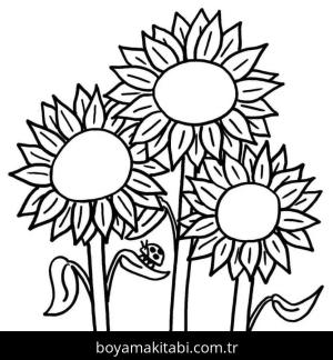 Ayçiçeği Boyama