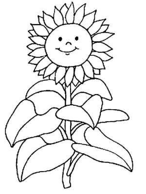 Ayçiçeği boyama sayfası,  coloring page, Nazik ve kibar çiçek, 