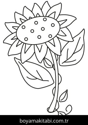 Ayçiçeği Boyama