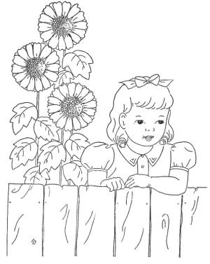 Ayçiçeği boyama sayfası,  coloring page, Çitin yanında uzun ayçiçekleri büyüyordu., 