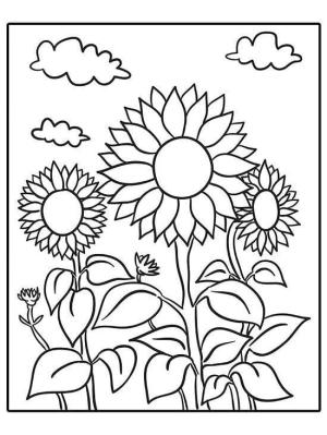 Ayçiçeği boyama sayfası,  coloring page, Ayçiçekleri güneşin parlak ışınları altında çiçek açtı, 