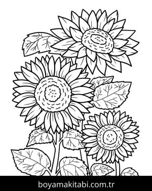 Ayçiçeği Boyama