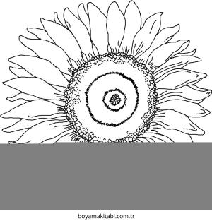 Ayçiçeği boyama sayfası – yaratıcılık, eğlenceli etkinlik