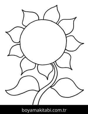 Ayçiçeği Boyama