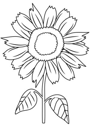 Ayçiçeği boyama sayfası,  coloring page, Güneşli Gülümseme Ayçiçeği, 