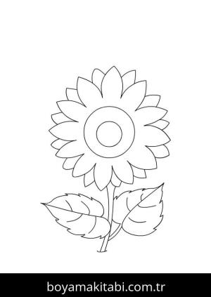 Ayçiçeği boyama sayfası – kolay boyama, eğitici aktivite