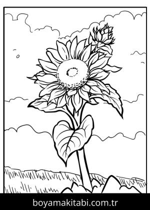 Ayçiçeği boyama sayfası – ücretsiz yazdır, boyama etkinliği