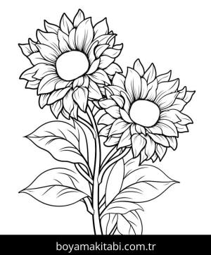Ayçiçeği boyama sayfası 50324,  coloring page, 