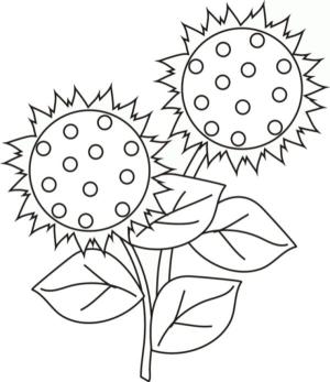 Ayçiçeği boyama sayfası,  coloring page, Kaç tane ayçiçeği çekirdeği olduğunu sayın, 