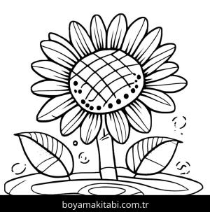 Ayçiçeği boyama sayfası,  coloring page, klasik, eğlenceli, eğlenceli