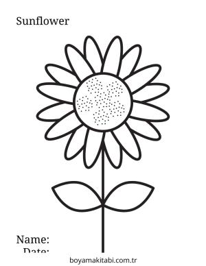 Ayçiçeği boyama sayfası – çizgi film temalı, basit çizim