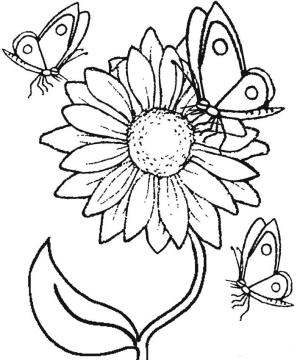 Ayçiçeği boyama sayfası,  coloring page, Ayçiçeği Ve Kelebek, 