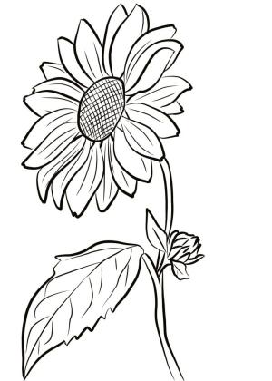 Ayçiçeği boyama sayfası,  coloring page, Sarı çiçek kimseyi kayıtsız bırakmayacak, 