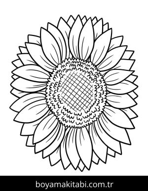 Ayçiçeği boyama sayfası – eğitici aktivite, yaratıcılık