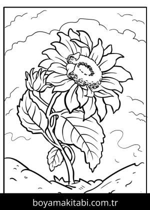 Ayçiçeği boyama sayfası – el becerilerini geliştirir, boyama çalışması