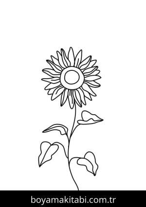 Ayçiçeği boyama sayfası – boyama çalışması, yaratıcılığı geliştirir