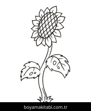 Ayçiçeği boyama sayfası 50335,  coloring page, 