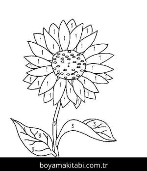 Ayçiçeği boyama sayfası 50328,  coloring page, 