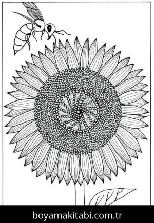 Ayçiçeği boyama sayfası – yaratıcılık, eğlenceli etkinlik