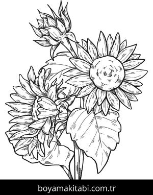 Ayçiçeği boyama sayfası – yaratıcılığı geliştirir, keyifli zaman