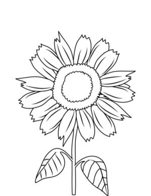 Ayçiçeği boyama sayfası,  coloring page, Güneşin muhteşem çiçeği, 