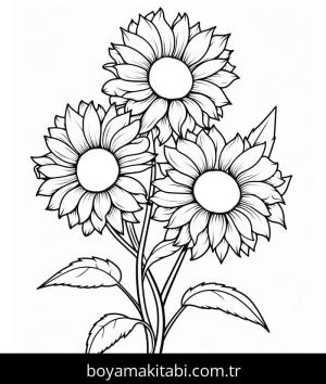 Ayçiçeği Boyama