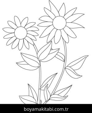Ayçiçeği boyama sayfası 50334,  coloring page, 